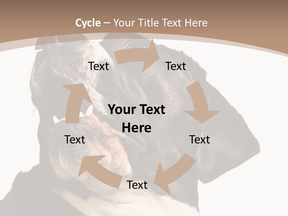 A Black And White Dog With His Mouth Open PowerPoint Template