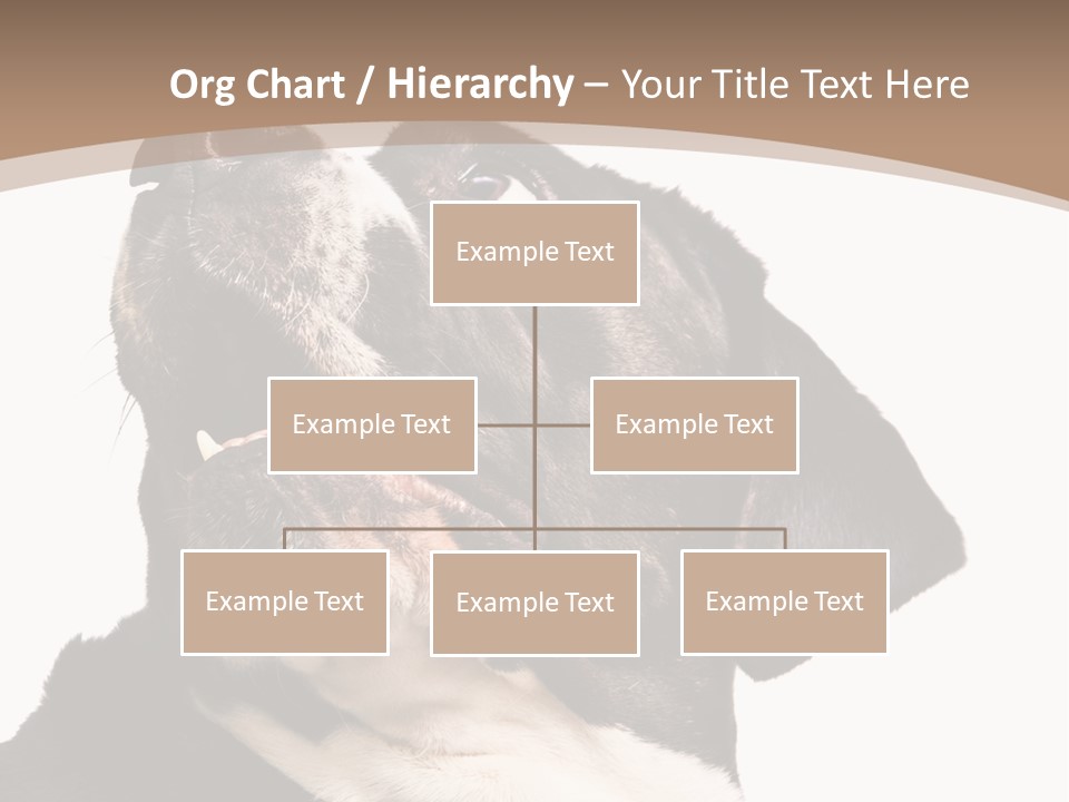 A Black And White Dog With His Mouth Open PowerPoint Template