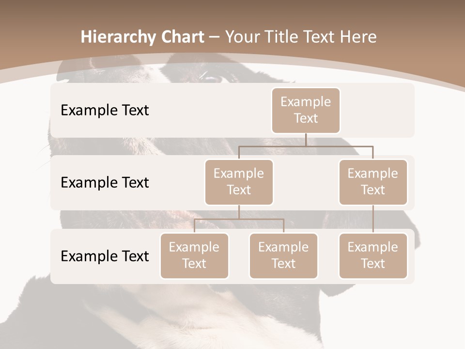 A Black And White Dog With His Mouth Open PowerPoint Template