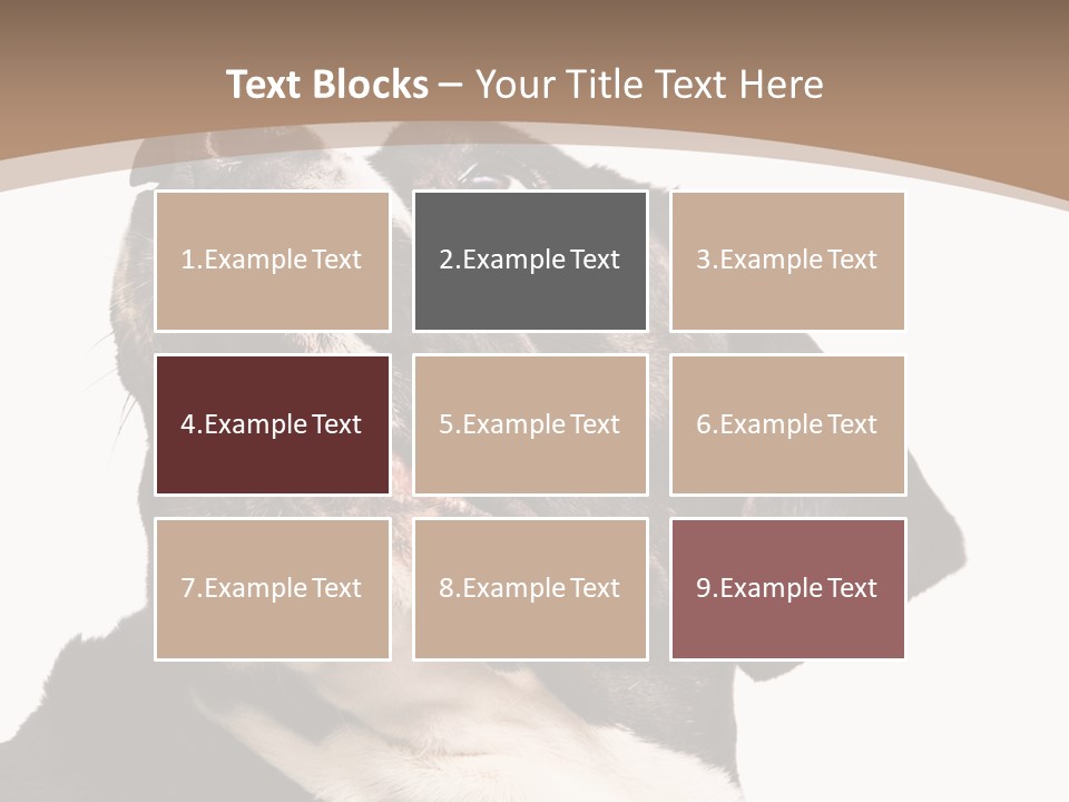 A Black And White Dog With His Mouth Open PowerPoint Template