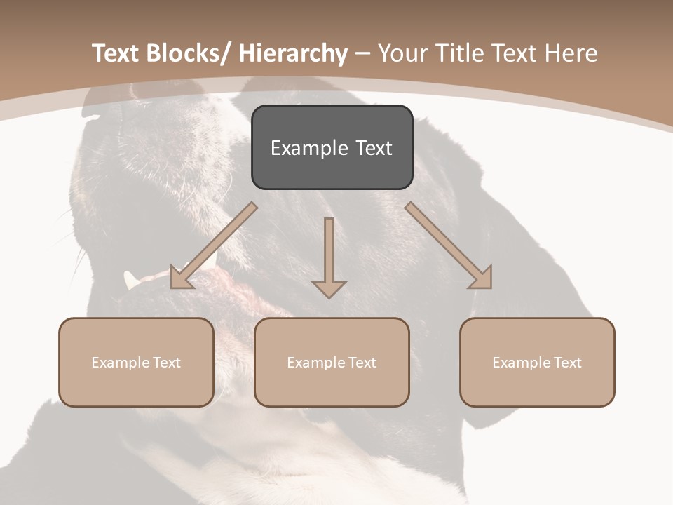 A Black And White Dog With His Mouth Open PowerPoint Template