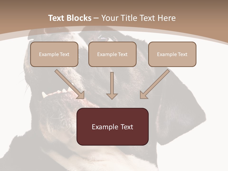 A Black And White Dog With His Mouth Open PowerPoint Template