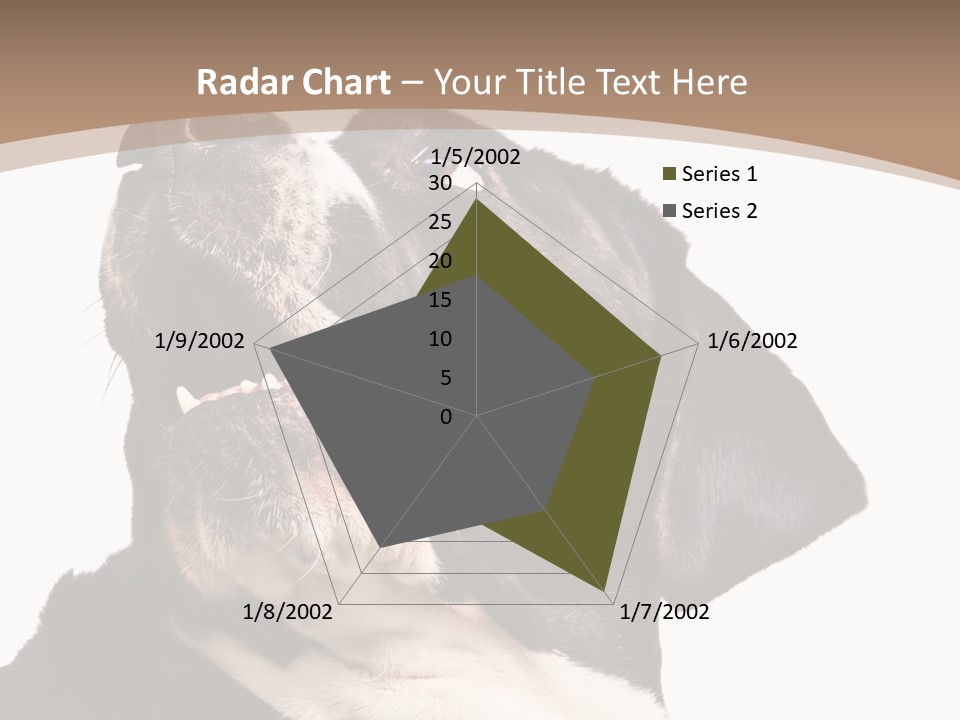 A Black And White Dog With His Mouth Open PowerPoint Template