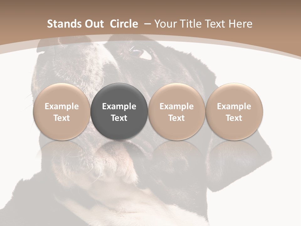 A Black And White Dog With His Mouth Open PowerPoint Template