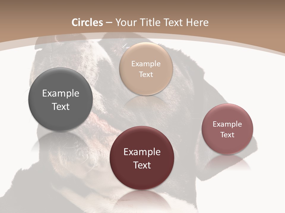 A Black And White Dog With His Mouth Open PowerPoint Template