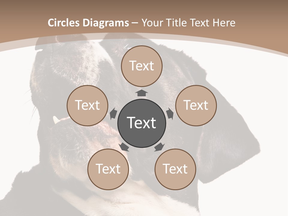 A Black And White Dog With His Mouth Open PowerPoint Template