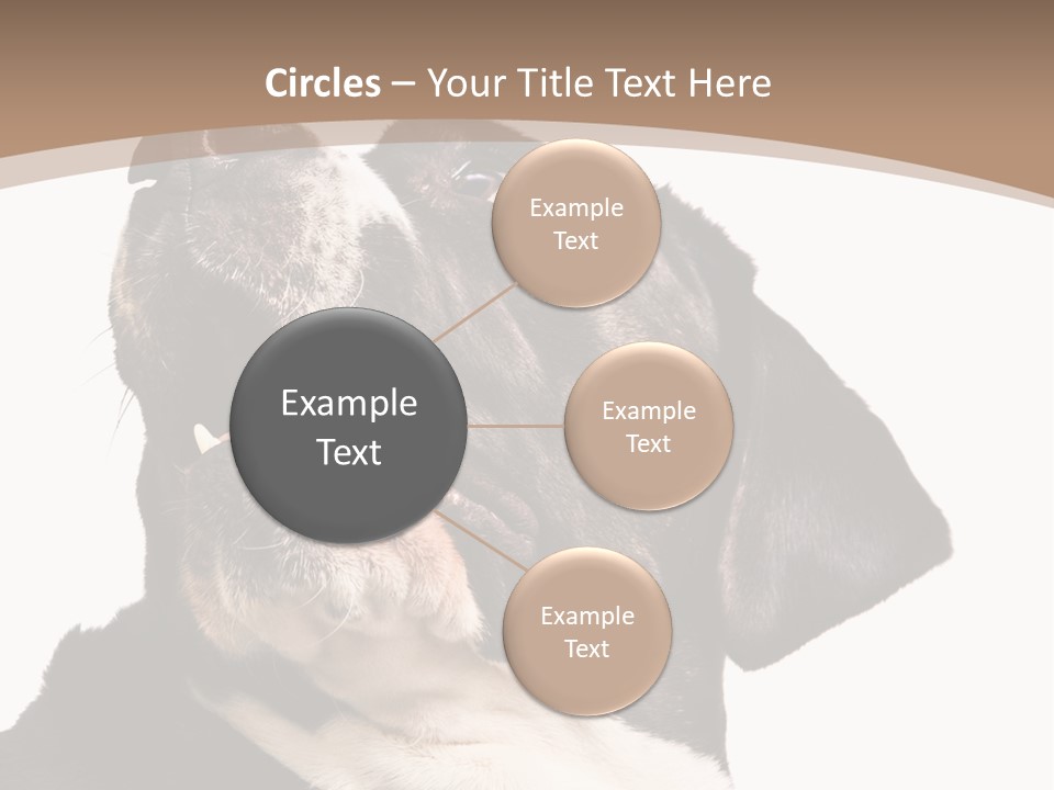 A Black And White Dog With His Mouth Open PowerPoint Template