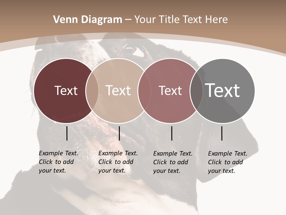 A Black And White Dog With His Mouth Open PowerPoint Template