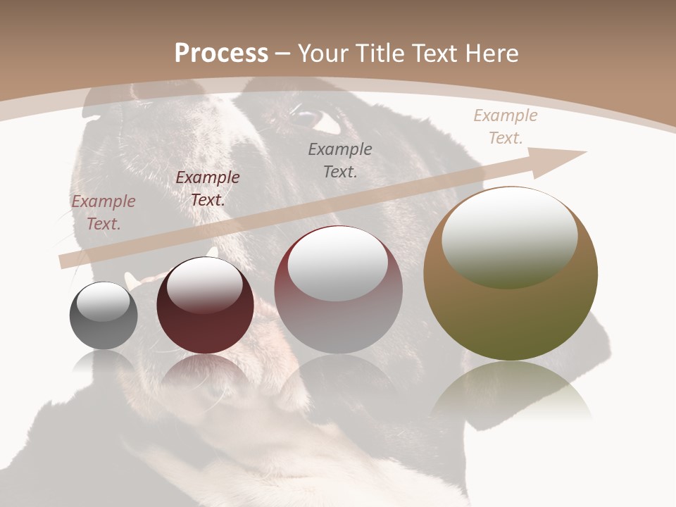 A Black And White Dog With His Mouth Open PowerPoint Template