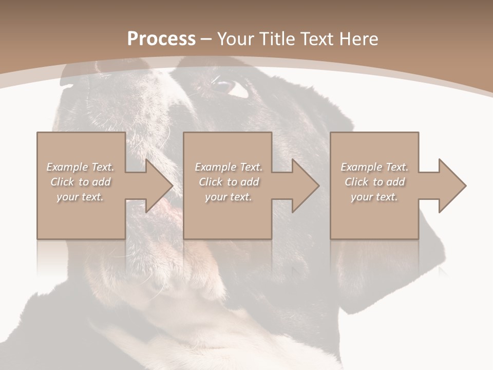 A Black And White Dog With His Mouth Open PowerPoint Template