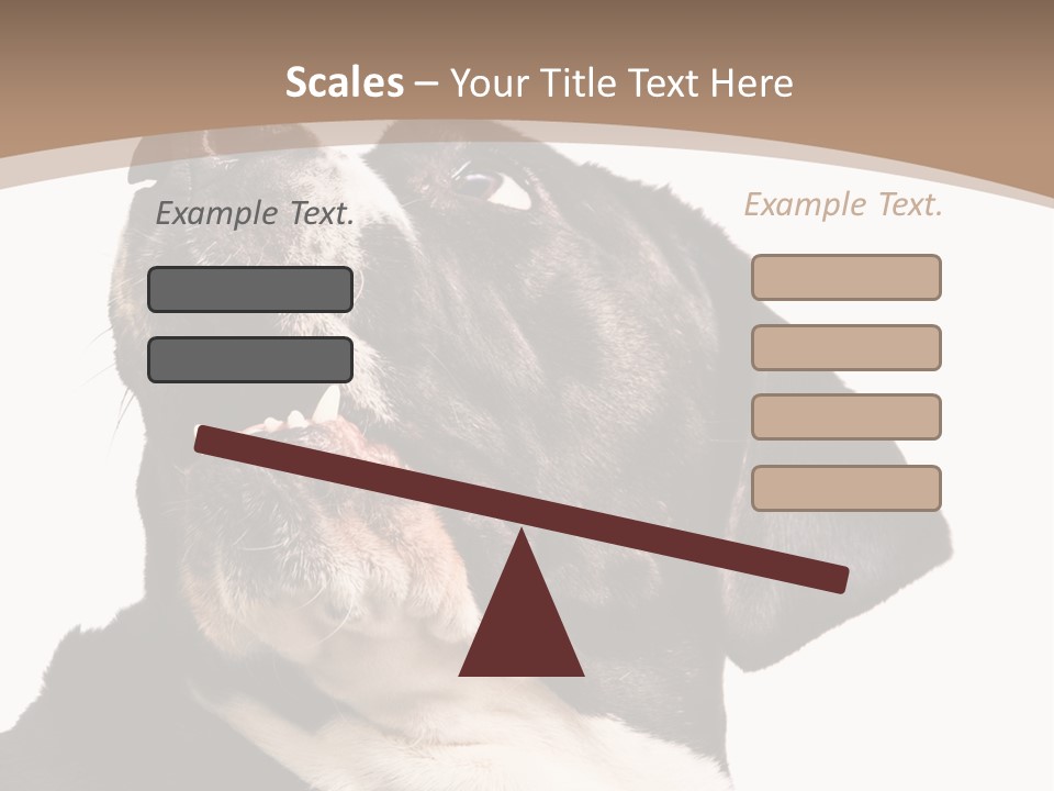 A Black And White Dog With His Mouth Open PowerPoint Template