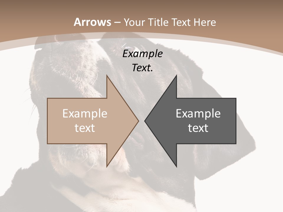 A Black And White Dog With His Mouth Open PowerPoint Template