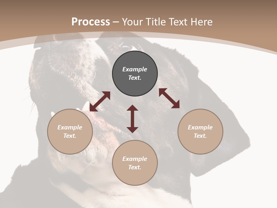 A Black And White Dog With His Mouth Open PowerPoint Template