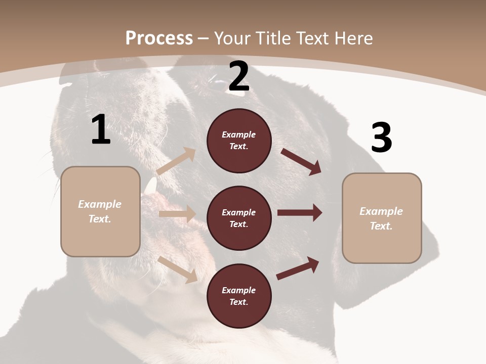 A Black And White Dog With His Mouth Open PowerPoint Template