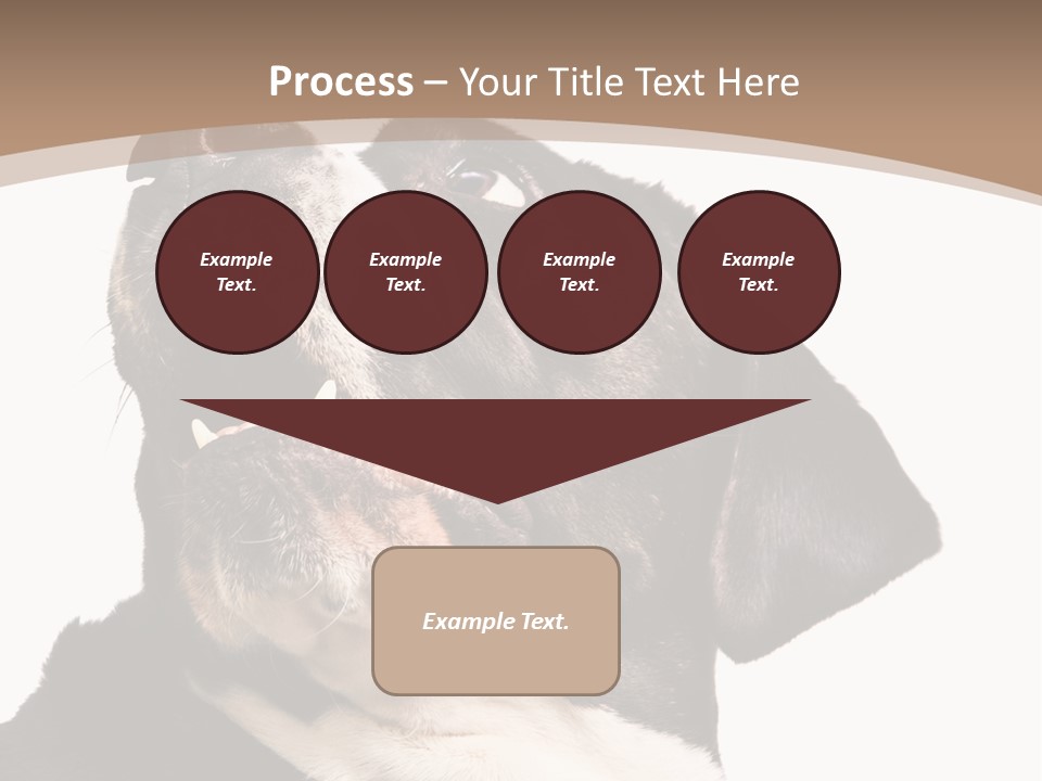 A Black And White Dog With His Mouth Open PowerPoint Template