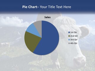 A Cow Standing On Top Of A Lush Green Field PowerPoint Template