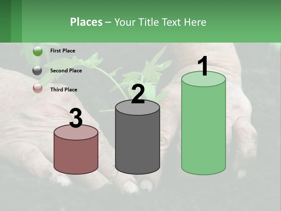 A Person Holding A Plant In Their Hands PowerPoint Template