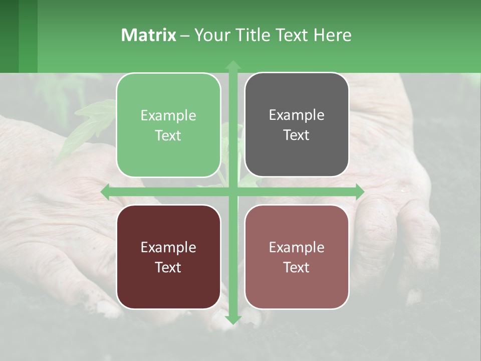 A Person Holding A Plant In Their Hands PowerPoint Template