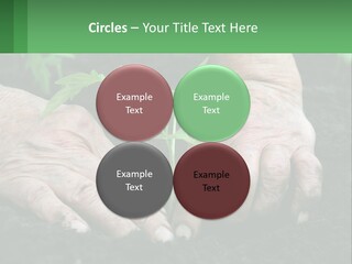 A Person Holding A Plant In Their Hands PowerPoint Template