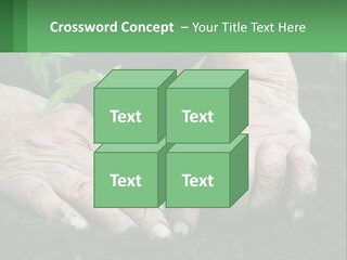 A Person Holding A Plant In Their Hands PowerPoint Template