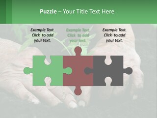 A Person Holding A Plant In Their Hands PowerPoint Template