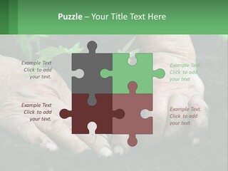 A Person Holding A Plant In Their Hands PowerPoint Template