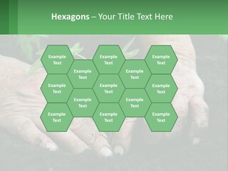 A Person Holding A Plant In Their Hands PowerPoint Template