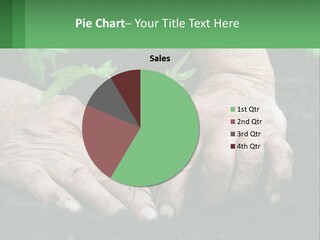 A Person Holding A Plant In Their Hands PowerPoint Template