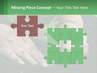 A Person Holding A Plant In Their Hands PowerPoint Template