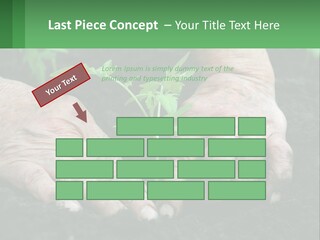 A Person Holding A Plant In Their Hands PowerPoint Template