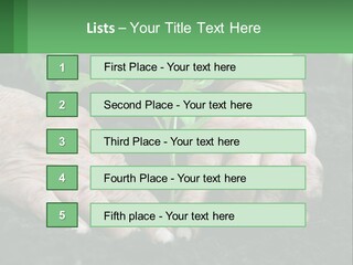 A Person Holding A Plant In Their Hands PowerPoint Template