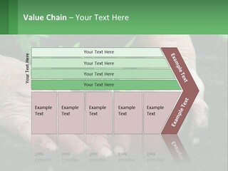 A Person Holding A Plant In Their Hands PowerPoint Template