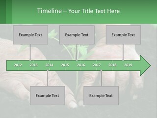 A Person Holding A Plant In Their Hands PowerPoint Template