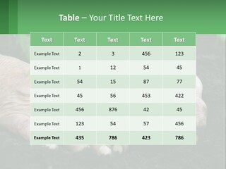 A Person Holding A Plant In Their Hands PowerPoint Template