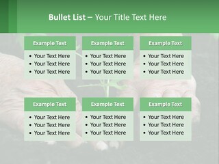 A Person Holding A Plant In Their Hands PowerPoint Template