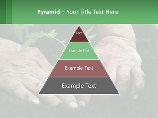 A Person Holding A Plant In Their Hands PowerPoint Template