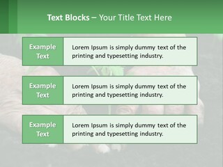 A Person Holding A Plant In Their Hands PowerPoint Template