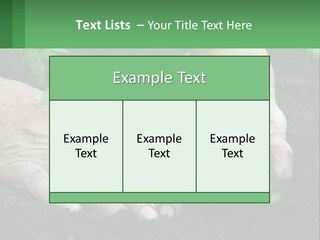 A Person Holding A Plant In Their Hands PowerPoint Template