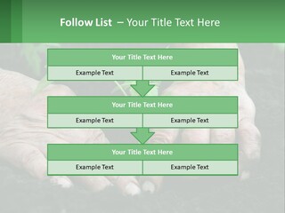 A Person Holding A Plant In Their Hands PowerPoint Template