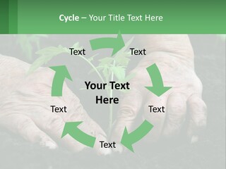 A Person Holding A Plant In Their Hands PowerPoint Template