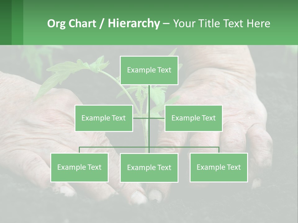 A Person Holding A Plant In Their Hands PowerPoint Template