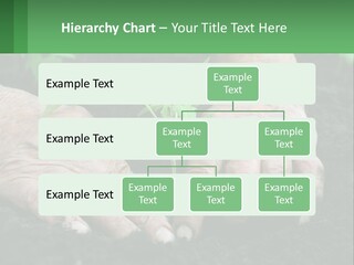 A Person Holding A Plant In Their Hands PowerPoint Template