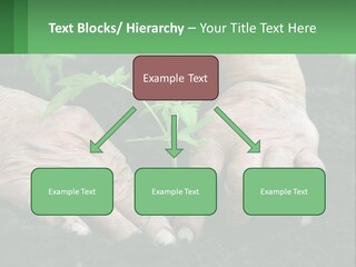 A Person Holding A Plant In Their Hands PowerPoint Template