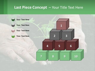 A Person Holding A Plant In Their Hands PowerPoint Template