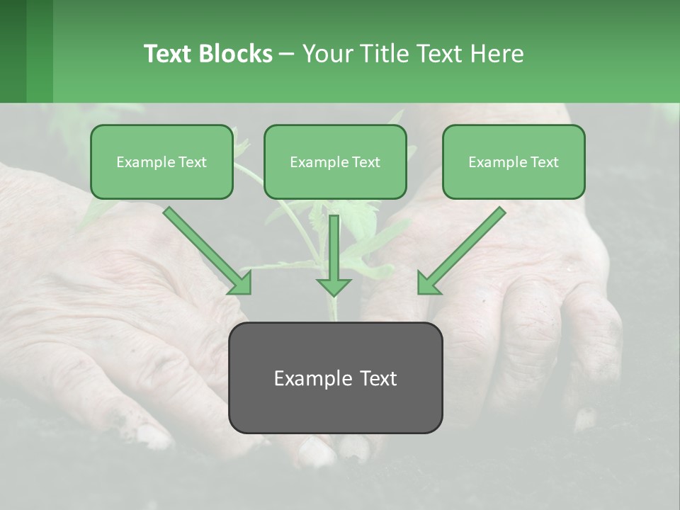 A Person Holding A Plant In Their Hands PowerPoint Template