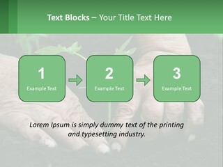 A Person Holding A Plant In Their Hands PowerPoint Template