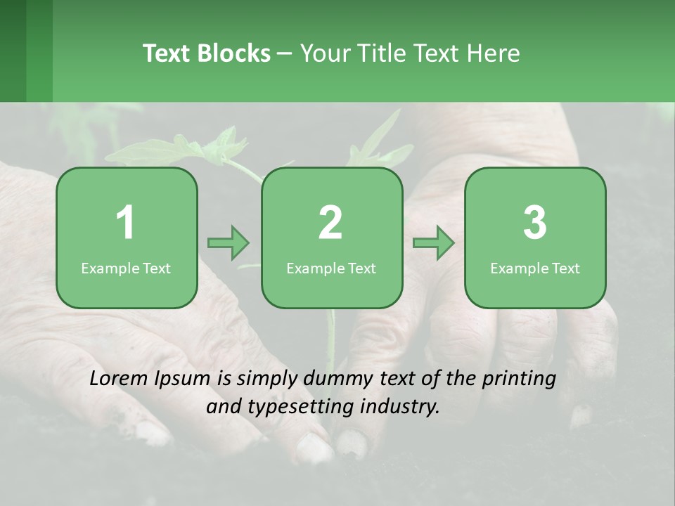 A Person Holding A Plant In Their Hands PowerPoint Template