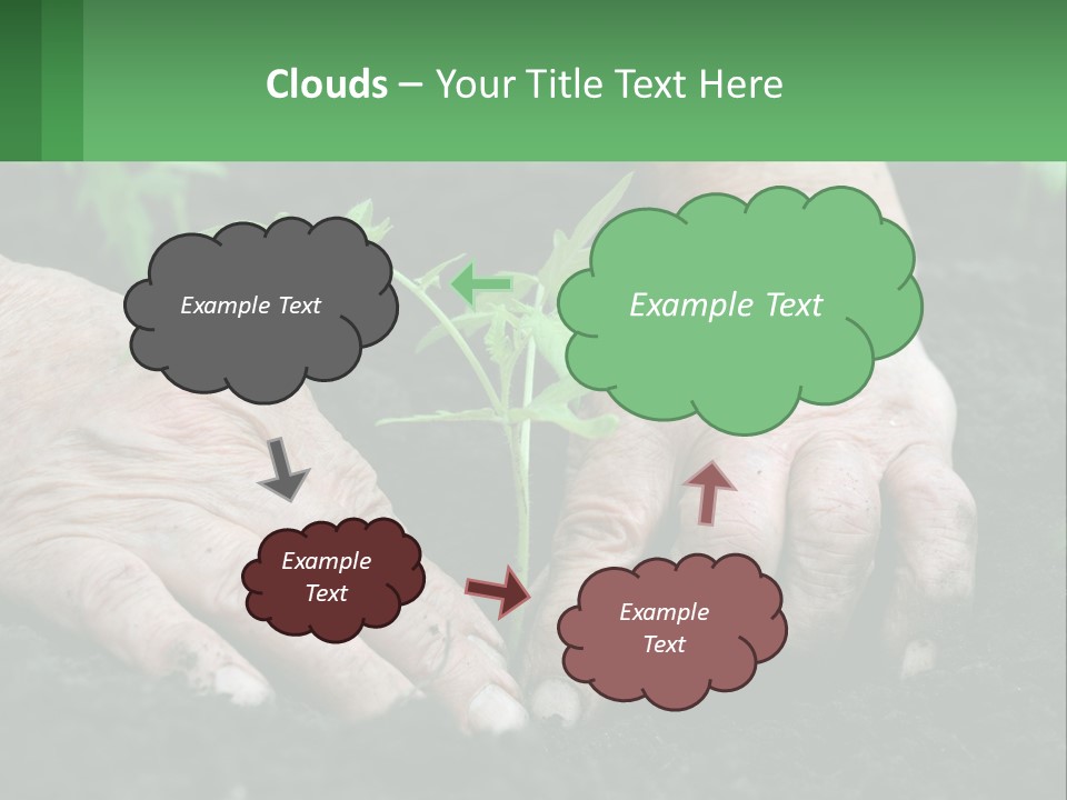 A Person Holding A Plant In Their Hands PowerPoint Template