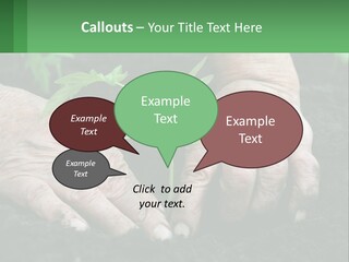 A Person Holding A Plant In Their Hands PowerPoint Template