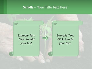A Person Holding A Plant In Their Hands PowerPoint Template